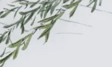 22年公历11月生肖猴有偏财运吗 贵人指点偏财兴旺