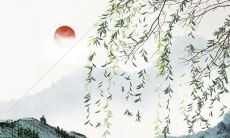 2022年11月中生肖狗财运如何 硕果累累赚到大钱