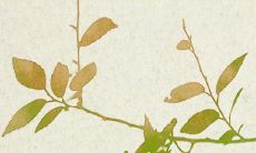 1976年属龙的2022年运程 46岁健康状况如何