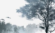 2022年生肖猪1983年运势 工作上遇到挑战