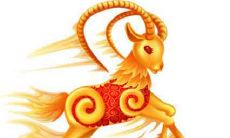 属羊和属鸡2021年感情桃花运怎么样