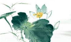 办公桌的摆放位置 办公桌摆放有乾坤