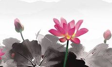 办公室布置风水 风水八卦牵势运