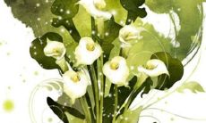 办公桌上的摆件 摆件选择牵运势有乾坤