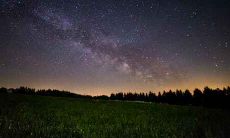 木羊的人运势及运程和性格怎么样