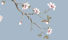 2022虎年生肖属兔在9月适合提车的最佳吉日 买新车最佳日子