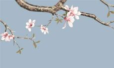 2022虎年公历9月生肖属牛适合买新车的最佳日期 黄道吉日查询