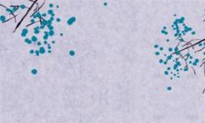 2022年10月2日提车好不好 是提新车的大吉日子吗