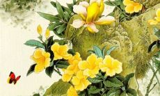 2022年8月提车吉日一览表 提车上等吉日