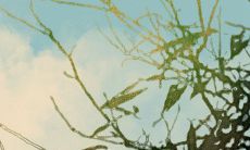 龙在2022年的运势如何 事业上表现良好