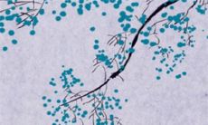 2022年10月1日国庆节适合提车吗 今日黄历宜忌分析