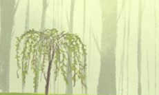 2014年八月开池吉日查询