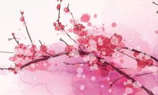 2022年1月27日五行穿衣指南 今日穿衣早知道