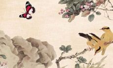 正月初七出生的女孩命好不好 资源丰富财源滚滚