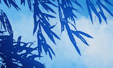 生肖狗2022年运势 健康运受凶星影响