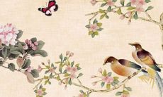 正月初七出生的男孩是什么命 事业走高家庭幸福