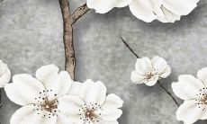 2022年2月哪天出生宝宝最好命 吉祥之命最佳出生日