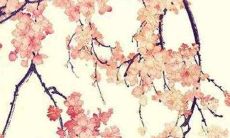 今日五行穿衣:2022年2月10日穿什么颜色旺运势