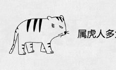 属虎人多大遇到真爱