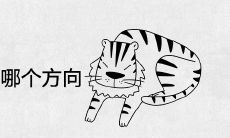 98年属虎工作去哪个方向合适