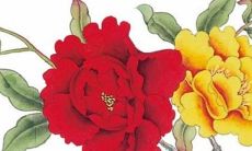 2022年9月13日可以出门吗 是出行上等吉日吗