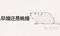 96年出生的鼠是早婚还是晚婚 什么时候结婚合适