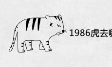 1986年属虎去哪个方向发财