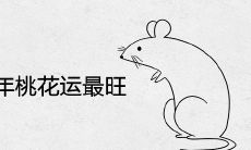 2021年下半年桃花运最旺生肖