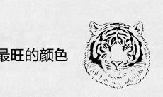 1986年属虎人永远最旺的颜色