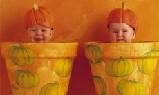 姓华缺水的男生名字合集 那些楚辞中的好名字