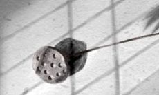 2014年五月出火吉日查询