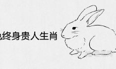 1975属兔的终身贵人生肖是谁