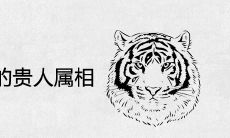 2021年属虎女的贵人属相