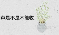 别人送了葫芦是不是不能收