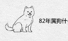 82年属狗什么时候翻身 转运大运年