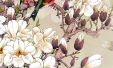 2022年10月10日提车吉利吗 这天日子如何