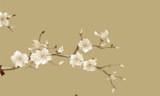 黄道吉日查询:2022年10月18日可以提新车吗