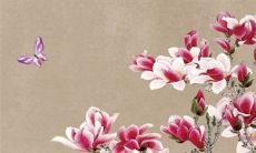 2022年10月17日提车好吗 此日提新车如何