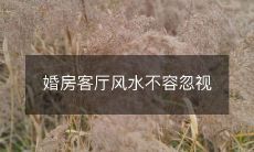 婚房客厅风水不容忽视