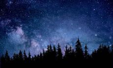 1967年属羊人2021年财运和运气如何