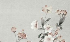 2022虎年10月份买车最好的吉利日子 好日子带来佳运