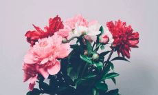 2022年4月6日可以出嫁娶亲吗 农历三月初六老黄历查询