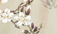 2022年10月8日寒露提新车好不好 今日是黄道吉日吗