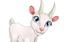 属羊人的婚姻与命运好吗