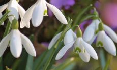 张姓克星是姓什么不能通婚