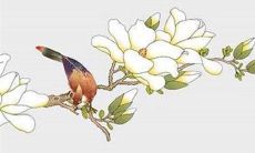 2022虎年9月生肖属鸡婚嫁日子黄历查询 哪几天宜嫁娶