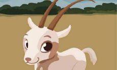 2015年属羊的人正财方位在哪 财运好不好