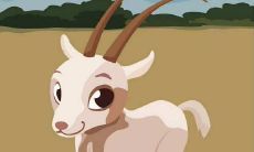 属羊人2022年下半年运势及运程如何