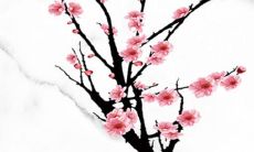 2022年大年初三适不适合嫁娶 遵循习俗平平安安