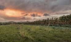 2022年十二生肖详解 十二生肖虎年运势解析